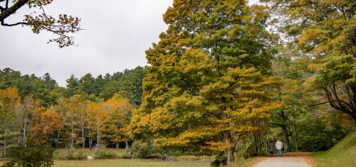 Fall Color Update: September 22, 2025
