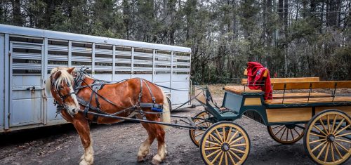 Carriage Run Carriage