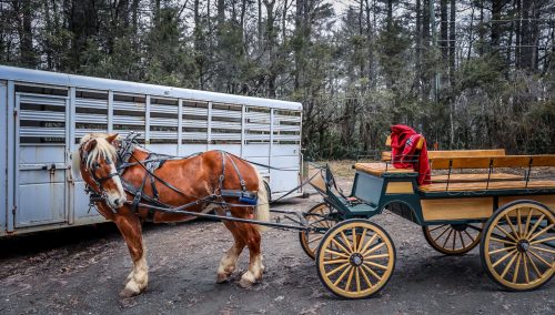 Carriage Run Carriage