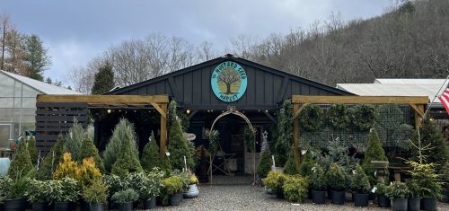 Mustard Seed Market Presents 4th Annual Artisan Holiday Market