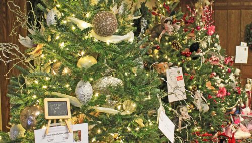 Festival of Trees Event