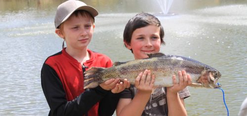 New Catch & Release Categories at 2020 Trout Derby
