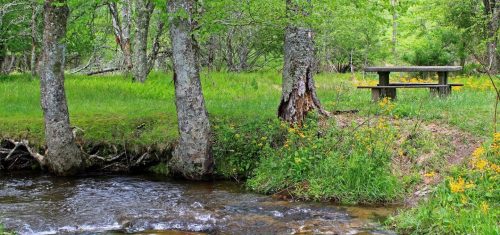 8 Fun Picnic Spots in Blowing Rock