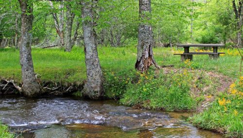 8 Fun Picnic Spots in Blowing Rock