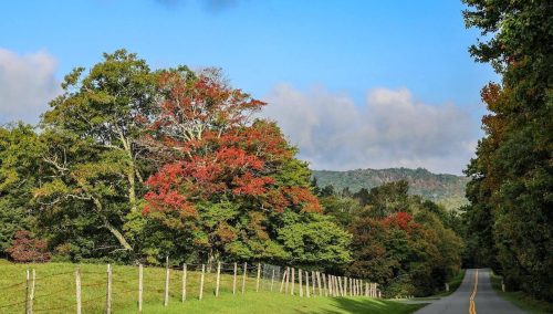 Why Blowing Rock is Great for Leaf Viewing