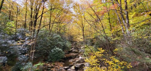 Trails We Took in October