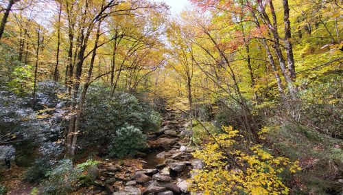 Trails We Took in October