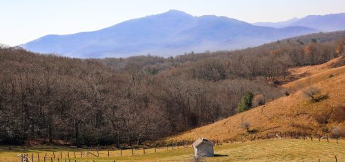 Trails We Took in November