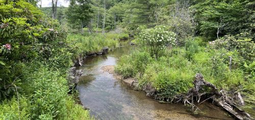 Trails We Took In June