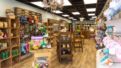 Local Business Spotlight: Barks & Co.