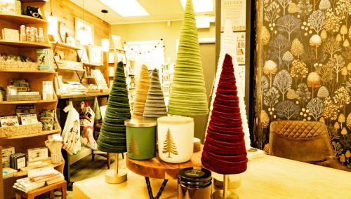 Evergreen Candles at FireLight Book & Candle