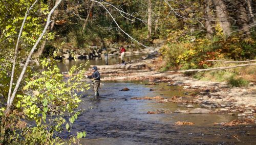 Blowing Rock Trout Derby
