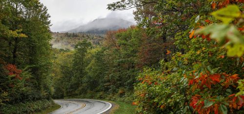 Fall Color Update: September 25, 2025