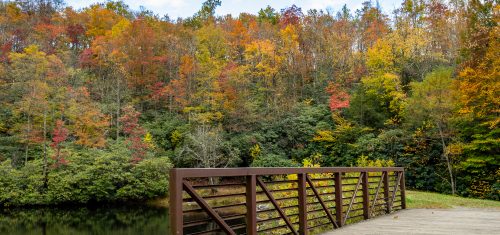 Fall Color Update: October 13, 2025