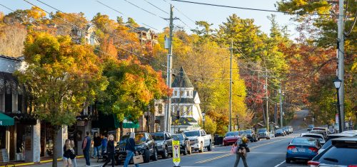 Fall Color Update: October 24, 2025