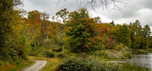 Fall Color Update: October 9, 2025