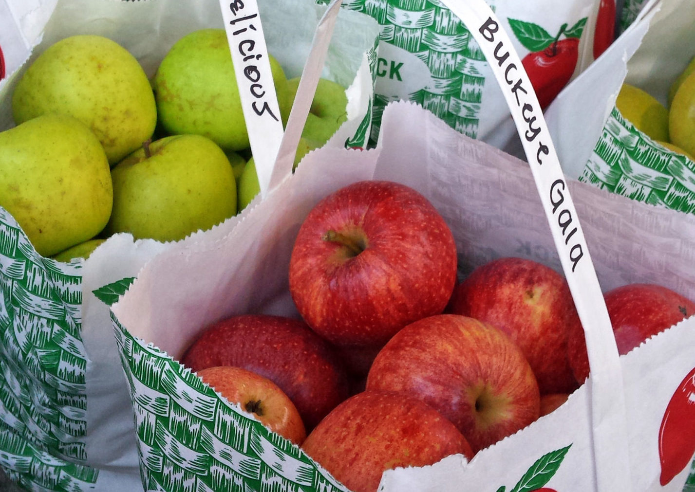 Old Apple Barn - Local Apples have started coming in! Get your mountain  apples. Share this post with your friends to let them know you can buy bagged  apples and U-Pick is